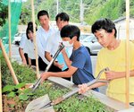 玄関先で被爆アオギリ３世の苗木を植樹する児童ら＝１９日、新温泉町湯の温泉小