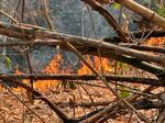 　山中で燃え広がる炎＝２０２４年３月、タイ・チェンマイ（共同）
