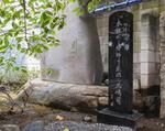 　元三島神社の境内に立つ正岡子規の句碑＝東京都台東区