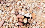 たき火の跡や捨てられたペットボトルのごみ＝２０１９年７月１９日の城原海岸（環境省浦富自然保護官事務所提供）