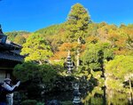 ゆっくりと色づき始めた紅葉が風情を感じさせる庭園＝８日、智頭町智頭の石谷家住宅