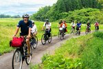 草が生い茂る加茂川（右）に沿って県境の源流に向かう参加者ら