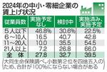 　２０２４年の中小・零細企業の賃上げ状況