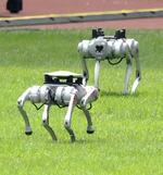 　陸上会場で円盤投げの円盤を運ぶロボット犬＝３日、杭州（共同）