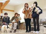 　譲渡された犬と飼い主を集め開かれた「同窓会」＝１１月、秋田市