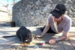 　米ハワイ州マウイ島ラハイナで、山火事から生き残った猫に餌をあげるスージー・リクターさん＝２２日（ロイター＝共同）
