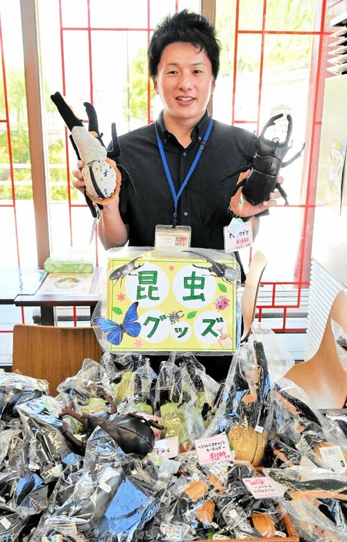 「老龍頭」で販売されている昆虫グッズ＝８日、湯梨浜町の中国庭園燕趙園