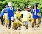 泥に足を取られながら田植えをする児童ら＝４日、香美町香住区三川