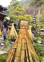 庭木に雪囲いをまとわせ、冬支度が進む石谷家住宅の庭園＝１１日、智頭町智頭