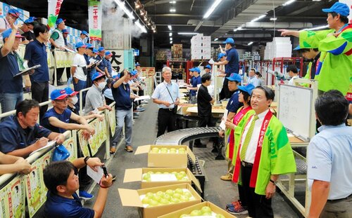 次々と競り落とされる鳥取県産の二十世紀梨＝２６日、大阪市福島区の大阪市中央卸売市場