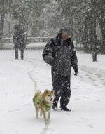 　雪の中、犬と散歩する人＝２０１２年