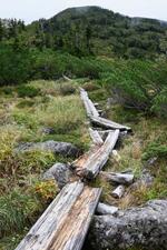 　管理が不十分で荒廃が進んだ中部山岳国立公園の登山道＝２０２２年９月、富山市