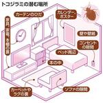 トコジラミの潜む場所