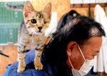 目の手術を終え退院した子猫との再会を喜ぶ飼い主