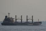 　ウクライナ南部オデッサ港を航行するトルコ船籍の貨物船＝１６日（ロイター＝共同）