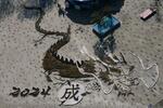 　来年の干支「辰」にちなんだ竜の地上絵＝２１日午前、茨城県ひたちなか市の国営ひたち海浜公園