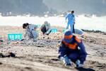　伊豆大島の土砂災害から１０年となり、浜辺で行方不明者を捜索する大島町の職員ら＝１６日午前、東京都大島町
