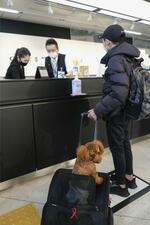 　スターフライヤーが２０２１年１２月に実施した、小型の犬や猫を連れて搭乗できるサービスの実証実験＝北九州空港
