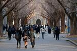 　大学入学共通テストの会場に向かう受験生ら＝１８日午前、東京都文京区の東大