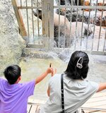 アクリル板を構えて雄のシュンタから水しぶきを浴びる参加者＝７日、豊岡市瀬戸の城崎マリンワールド