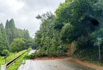 　台風６号の影響で宮崎県えびの市の道路に流入した土砂＝１０日午前（県提供）