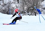 選考会で雪原をさっそうと滑り降りる選手＝１３日、香美町小代区大谷のおじろスキー場