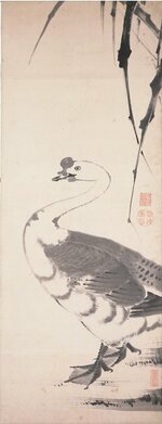 伊藤若冲「花鳥魚図押絵貼屏風」（各縦１１４・２×横４３・９㌢）＝鳥取県立博物館提供