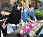 色とりどりの花が浮かべられた花手水に見入る参拝客ら＝３日、八頭町下門尾の成田山青龍寺