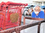 カートの上で群れをなすミツバチ＝１９日、鳥取市岩吉のリサイクルマート安長店