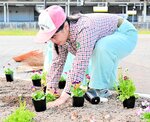 自分たちで育てた花苗を丁寧に植える生徒