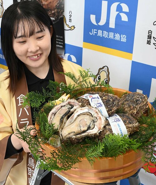  大きく太った身が光る鳥取県産天然イワガキ「夏輝」＝３日、鳥取県庁 