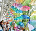 市民を楽しませる色鮮やかな雨傘のカーテン＝１日、松江市朝日町の松江テルサ