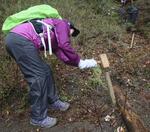 　鹿児島県と宮崎県にまたがる霧島錦江湾国立公園の霧島地域で、登山道を整備する人＝２０２３年４月