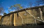 　逃げようとした患者たちを閉じ込めた長島愛生園の「監房」跡。いまはひび割れた壁だけが残る＝２０２３年１２月、岡山県瀬戸内町