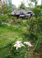 　春風萬里荘の庭は広大。季節の花と緑に心癒やされる＝茨城県笠間市