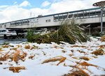 前夜から降り積もった植え込みの雪＝１９日午前９時半ごろ、ＪＲ鳥取駅前