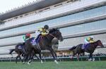 　第７５回朝日杯フューチュリティステークスを制したジャンタルマンタル（手前）＝阪神競馬場