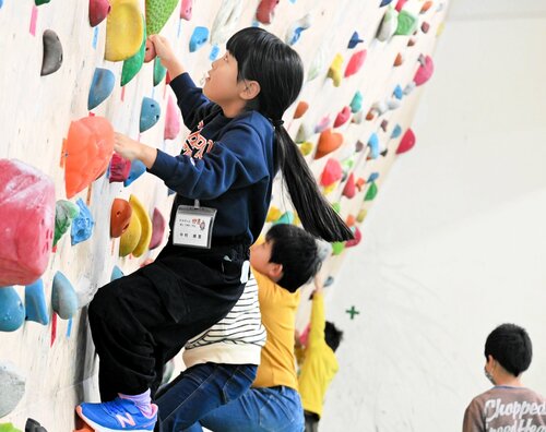 手足を器用に動かして頂上を目指して登る児童ら＝１４日、香美町村岡区の村岡高