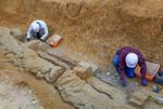 　奈良市の富雄丸山古墳で、報道陣に公開された未盗掘木棺の発掘調査現場＝２２日午後