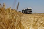 　ウクライナ南部オデッサ州で穀物を運ぶトラック＝６月２３日（ロイター＝共同）