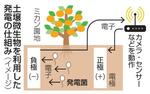 　土壌微生物を利用した発電の仕組み