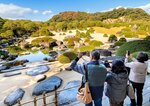 「白砂青松庭」をカメラに収める来館者＝７日、島根県安来市古川町の足立美術館