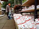 　奉納された招き猫を見つめる人々＝東京都世田谷区の豪徳寺
