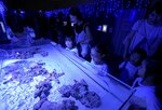 イルミネーションで演出された会場で水生生物を鑑賞する園児ら＝１２日、鳥取県境港市の夢みなとタワー