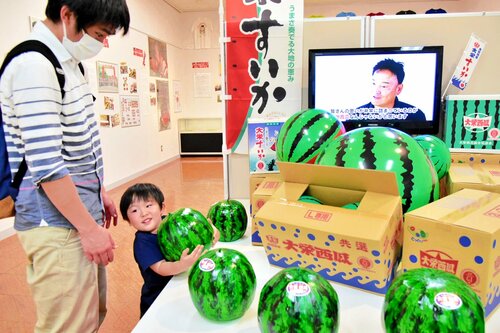 大栄スイカの模型を持って重さを体感する来館者