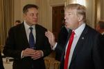 　当時米大統領だったトランプ氏（右）と話す電気自動車（ＥＶ）大手テスラのイーロン・マスク最高経営責任者（ＣＥＯ）＝２０１７年２月、米ホワイトハウス（ＡＰ＝共同）