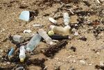 　沖縄県石垣島の海岸に漂着したペットボトルのごみ＝２０２１年１１月