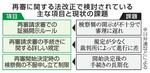 　再審に関する法改正で検討されている主な項目と現状の課題