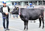 和牛種畜の部でグランドチャンピオンに輝いた「りりぃ１３」と生産者の木嶋さん＝２８日、琴浦町の鳥取県中央家畜市場