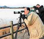 ガン・カモ類の数を確認する日本野鳥の会鳥取県支部の会員ら＝１４日、米子市彦名新田の米子水鳥公園